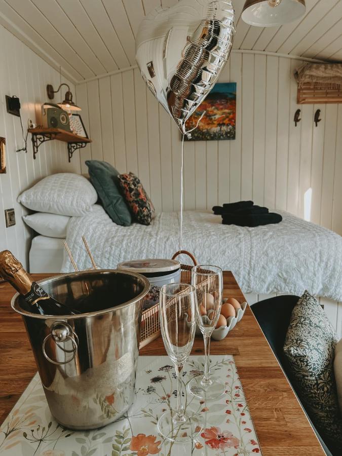 Slieve Croob Glamping Villa Ballyward Buitenkant foto